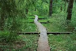 Nr. 10 : Wege (Peter Könitz)