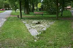 Nr. 1 : Hier ordnen Bäume mit