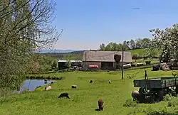 Begrazing in het dorp (2017)