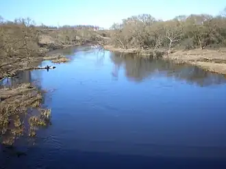 De Nevėžis bij Kėdainiai