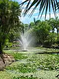 Nevis Botanical Gardens