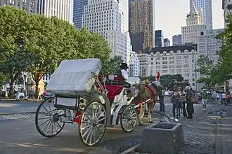 Een paardenkoets op Central Park South, een weg die door het plein loopt