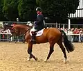 Nick Skelton met Arko III, 2008