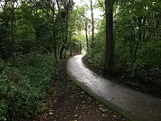 Nieuwe Scheveningse Bosjes