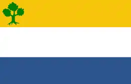 Vlag van Nieuwstadt