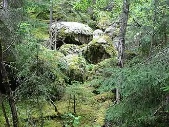 Nationaal park Norra Kvill