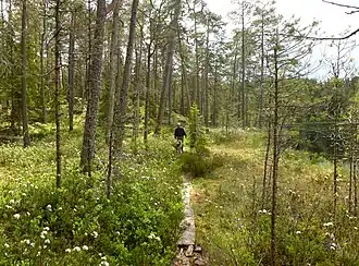 Nationaal park Norra Kvill