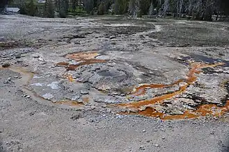 North Goggles Geyser in 2013