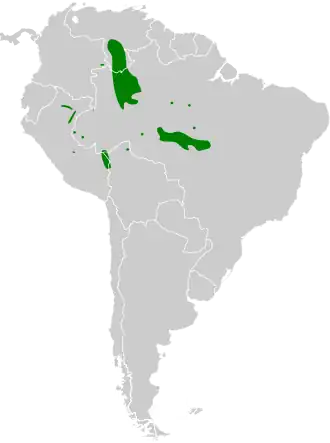 Bruinbandbaardkoekoek