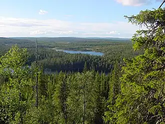 uitzicht vanop de Noukavaara, Nationaal park Riisitunturi