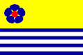Vlag