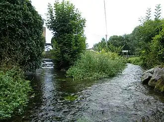 De Dien bij Bonnelles