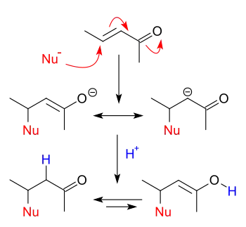 Reactiemechanisme van de nucleofiele geconjugeerde additie.