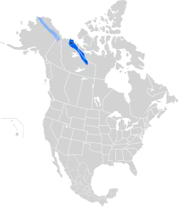 Broedgebied van de eskimowulp (lichtblauw: waarschijnlijk broedgebied)