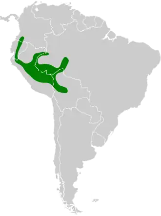 Obama's baardkoekoek