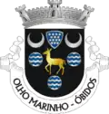 Vlag van Olho Marinho