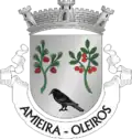 Vlag van Amieira