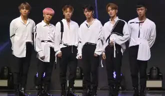 ONF in 2019