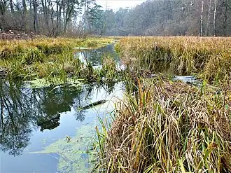 Nationaal Park Kampinos