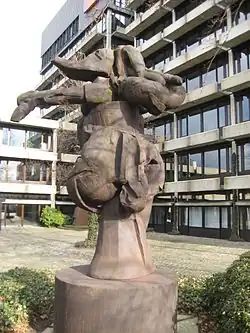 Die öffentliche Rose in Osnabrück