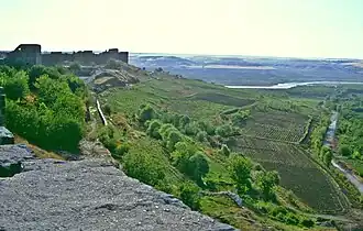 De stadsmuur van de stad Diyarbakır