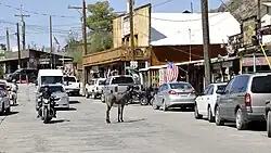 Een burro in Oatman
