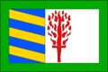 Vlag
