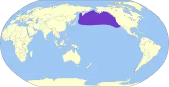 Parelgrijs stormvogeltje