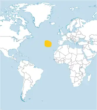 Monteiro's stormvogeltje