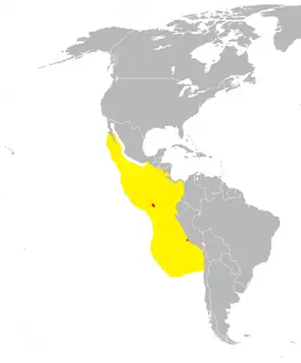 Galapagosstormvogeltje