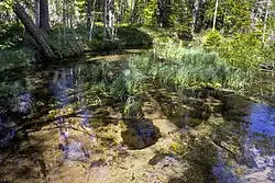 Een van de bronnen van Odalätsi