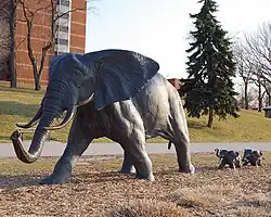 Derrick Stephan Hudson: Tembo