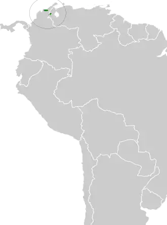 Zwartmaskertandkwartel