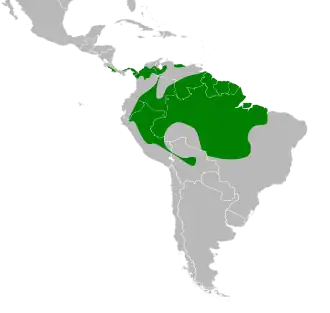 Gemarmerde tandkwartel