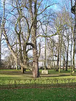 Hogelandsepark met Oeros