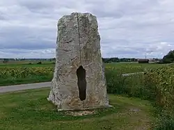 Marit Lyckander: Helt i VI (2000)