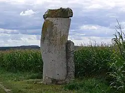 Verantwortung (2000), Oggelshausen