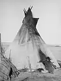 Amerikaanse tipi, 1891