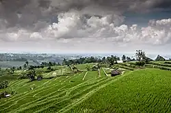 Cultuurlandschap in Bali