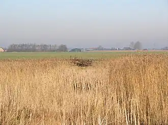 Opgestapelde restanten 15-1-2006