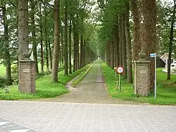 Hekpijlers Oldenaller