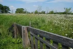 Boomgaard op de plek van de vroegere tweede boerderij