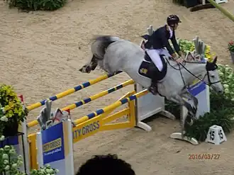 Olivier Philippaerts tijdens de Göteborg Horse show 2016