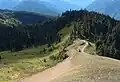 Hurricane Ridge Trail