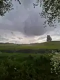 Regenbuik boven het Ommoordse Veld