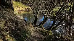 De Geul bij Cottessen (nabij de Heimansgroeve)