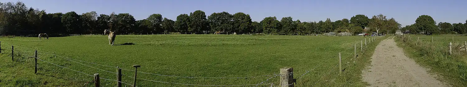 Vermoedelijke locatie van het hunebed gezien vanaf de Onneresweg naar het noorden toe. Het hunebed zou zich bevonden hebben rond de perceelscheiding nabij de steen op de achtergrond tussen de paarden