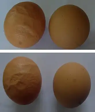 Ei met onregelmatige en normale schaal