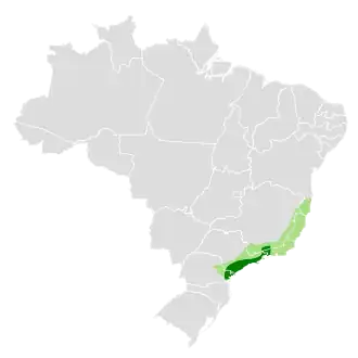 Atlantische kroontiran