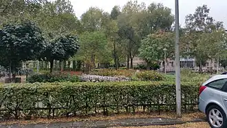 Doorkijk Oostenburgerpark met rechts op de achtergrond het Oost-Indisch Huis (oktober 2018)